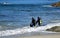 SCUBA divers at Moss Street Cove, Laguna Beach, California