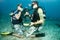 Scuba divers under the water