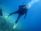 Scuba diving in the clear waters of the  Mediterranean Sea