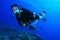 Scuba diving on coral reef