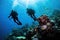 Scuba diving in the deep blue sea with corals and tropical fish, Extreme divers in the coral reef, rear view, no visible faces, AI