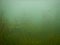 Scuba diving in a freshwater lake Most