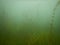 Scuba diving in a freshwater lake Most