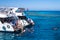 Scuba diving in the Red Sea. Holiday in Egypt