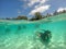 Scuba diving underwater tour in Rarotonga Cook Islands