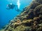 Scubadiving in Red Sea, Egypt, Sinai peninsula