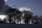 Scudding clouds over trees