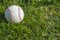 Scuffed Baseball on Grass