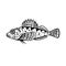 Sculpin Bullhead or Sea Scorpion Side View Mascot Retro Black and White