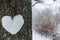 Sculpted heart from snow on a tree.