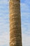 Sculpted Roman column