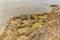 Sculpted Sandstone and Serene Pools: Exploring the Coastal Beauty of Korbous, Cap Bon, Tunisia