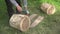 Sculptor prepare tree log wood for art work. Sanding bark with sander tool. Closeup. 4K