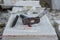 Sculptor tools on a marble slab, close up. Workplace, traditional tools sculptor, red chalk, ruler, hammer and chisel for working