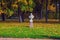 Sculptural bust of Poros in Catherine Park, Pushkin, St. Petersburg