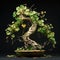 Sculptural Ivy Bonsai: Intricate Details On Black Background