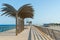 Sculptural palm trees on on the seaside esplanade at Muelle de L