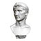 Sculptural portrait of Octavian August. Front view. 3D. Polygonal bust of Octavian Augustus. Vector illustration