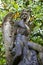 The sculpture of the angel in the garden of the castle in Montresor.