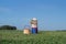 Sculpture of bales solomy- beaver.