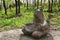 Sculpture of a bear with a broken bowl in Pyatigorsk