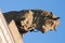 A sculpture of a bull and a shepherd, on the building of the pavilion of Meat industry all-Russian exhibition center in Moscow, Ru