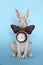 Sculpture ceramic gray hare with a clock for a home interior