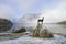Sculpture of chamois near Bohinj lake in slovenian Alps