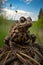 A sculpture of a common toad made entirely of recycled materials found in the forest. Generative AI