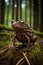 A sculpture of a common toad made entirely of recycled materials found in the forest. Generative AI