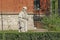 Sculpture in the courtyard of the Jagiellonian University, Krakow, Poland