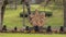 Sculpture with flower garden in the foreground in Turtle Creek Park in Dallas, Texas.