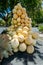 Sculpture of a giant bunch of grapes with a steady flow of water is trickling down in the town centre of Azeitao