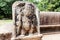 Sculpture of guardian, Anuradhapura, Sri Lanka.