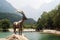 A sculpture of ibex at Jasna lake, Slovenia