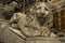 Sculpture of a lion at the entrance Saint Lawrence Cathedral in Genoa, Liguria, Italy.