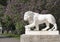 Sculpture of a lion holding a ball paw on the background of lilac bushes . Elagin island. Saint-Petersburg