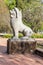 Sculpture of a lion in Royal Independence Gardens, Siem Reap, Cambodia, Asia