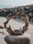 A sculpture made of driftwood and eggs on a beach. AI generative image.