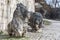 Sculpture of marble lions, a symbol of the city of Brescia, are installed in the park of the castle. Lombardy, Italy