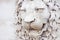 Sculpture of a medieval lion head of stone Italy