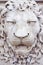 Sculpture of a medieval lion head of stone Italy - frontal view