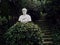 Sculpture Park. Marble bust, trees, hedge