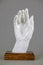 Sculpture of the right hand of white plaster on a wooden stand on a gray background