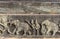 Sculpture on stone of elephants and 2 men at Royal Enclosure, Hampi, Karnataka, India