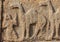 Sculpture on stone of man and 2 camels at Royal Enclosure, Hampi, Karnataka, India