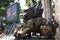 Sculpture stone Qilin dragon guardian at entrance of Wong Tai Sin Temple at Kowloon in Hong Kong, China