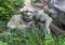 Sculpture of a Troll sitting in a thicket near a stone bridge