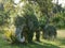 Sculpture of two elephants overgrown with bushes.