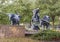 Sculpture of a Vaquero cowboy on a horse and two Longhorn Steers by Robert Summers in Plano, Texas.